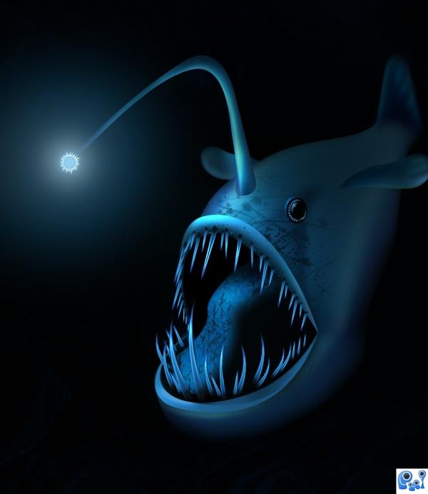 Deep Sea Angler photoshop picture